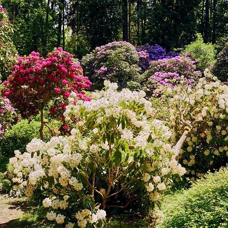 Rubinowy Sauna Zdroj