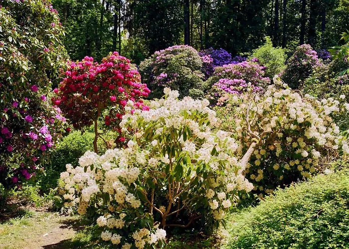 Rubinowy Sauna Zdroj